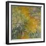 The Path through the Irises, 1914–17 (Oil on Canvas)-Claude Monet-Framed Giclee Print