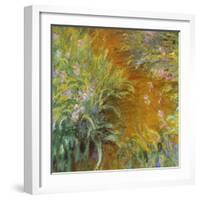 The Path through the Irises-null-Framed Giclee Print