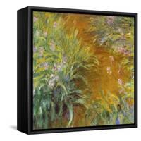 The Path through the Irises-null-Framed Stretched Canvas