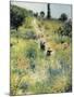 The Path Through the Long Grass-Pierre-Auguste Renoir-Mounted Art Print