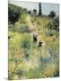 The Path Through the Long Grass-Pierre-Auguste Renoir-Mounted Art Print