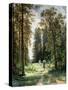 The Path Through the Woods, 1880-Ivan Ivanovitch Shishkin-Stretched Canvas