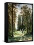 The Path Through the Woods, 1880-Ivan Ivanovitch Shishkin-Framed Stretched Canvas