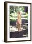 The Path-Sabine Rosch-Framed Photographic Print