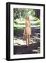 The Path-Sabine Rosch-Framed Photographic Print