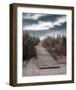 The Pathway-Gill Copeland-Framed Giclee Print