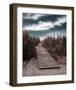 The Pathway-Gill Copeland-Framed Art Print