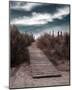 The Pathway-Gill Copeland-Mounted Art Print