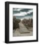 The Pathway-Gill Copeland-Framed Art Print