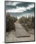 The Pathway-Gill Copeland-Mounted Art Print