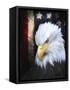 The Patriot Press-Joel Christopher Payne-Framed Stretched Canvas