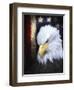 The Patriot Press-Joel Christopher Payne-Framed Giclee Print