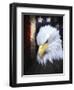 The Patriot Press-Joel Christopher Payne-Framed Giclee Print