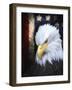 The Patriot Press-Joel Christopher Payne-Framed Giclee Print