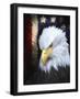 The Patriot Press-Joel Christopher Payne-Framed Giclee Print