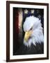 The Patriot Press-Joel Christopher Payne-Framed Giclee Print