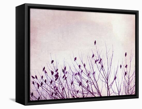 The Pause that Refreshes-Carolyn Cochrane-Framed Stretched Canvas