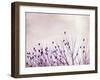 The Pause that Refreshes-Carolyn Cochrane-Framed Photographic Print