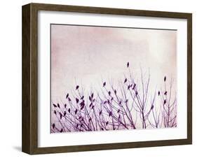 The Pause that Refreshes-Carolyn Cochrane-Framed Photographic Print