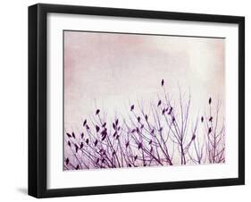 The Pause that Refreshes-Carolyn Cochrane-Framed Photographic Print