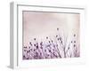 The Pause that Refreshes-Carolyn Cochrane-Framed Photographic Print