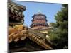 The Pavilion of Buddhist Fragrance, at the Summer Palace, Beijing, China-Miva Stock-Mounted Premium Photographic Print