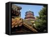 The Pavilion of Buddhist Fragrance, at the Summer Palace, Beijing, China-Miva Stock-Framed Stretched Canvas