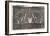 The Peace Commemoration, the Fireworks in Victoria-Park-null-Framed Giclee Print