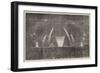 The Peace Commemoration, the Fireworks in Victoria-Park-null-Framed Giclee Print