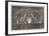 The Peace Commemoration, the Fireworks in Victoria-Park-null-Framed Giclee Print