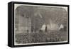 The Peace Commemoration, the Fireworks, Sketched from the Mall, in St James's Park-null-Framed Stretched Canvas