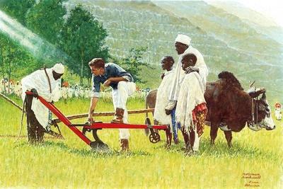 https://imgc.allpostersimages.com/img/posters/the-peace-corps-in-ethiopia_u-L-Q1JF8BY0.jpg?artPerspective=n
