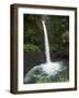 The Peace Waterfall on the Slopes of the Poas Volcano, Costa Rica, Central America-R H Productions-Framed Photographic Print