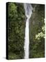 The Peace Waterfall on the Slopes of the Poas Volcano, Costa Rica, Central America-R H Productions-Stretched Canvas