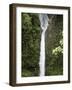 The Peace Waterfall on the Slopes of the Poas Volcano, Costa Rica, Central America-R H Productions-Framed Photographic Print