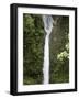 The Peace Waterfall on the Slopes of the Poas Volcano, Costa Rica, Central America-R H Productions-Framed Photographic Print