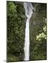 The Peace Waterfall on the Slopes of the Poas Volcano, Costa Rica, Central America-R H Productions-Mounted Photographic Print