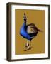 The Peacock on Golden Yellow, 2020, (Pen and Ink)-Mike Davis-Framed Giclee Print