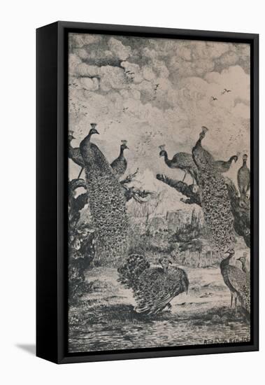 'The Peacocks', 1869, (1946)-Rodolphe Bresdin-Framed Stretched Canvas