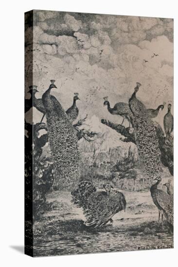 'The Peacocks', 1869, (1946)-Rodolphe Bresdin-Stretched Canvas