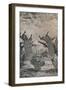 'The Peacocks', 1869, (1946)-Rodolphe Bresdin-Framed Giclee Print