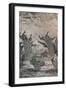 'The Peacocks', 1869, (1946)-Rodolphe Bresdin-Framed Giclee Print