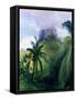 The Peak of Maua Roa, Moorea, Society Islands, 1891-John La Farge-Framed Stretched Canvas