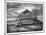 The Peak of Tenerife, Canary Islands, C1890-null-Mounted Giclee Print