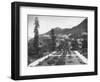 The Peake and Botanical Gardens-null-Framed Photographic Print