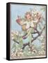 The Pear Blossom Fairy-Vision Studio-Framed Stretched Canvas