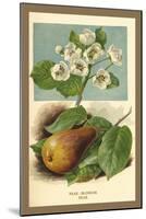 The Pear-Blossom Pear-W.h.j. Boot-Mounted Art Print