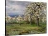 The Pear Orchard, C.1903-Alfred Parsons-Stretched Canvas