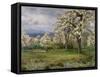 The Pear Orchard, C.1903-Alfred Parsons-Framed Stretched Canvas