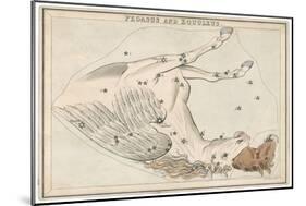 The Pegasus and Equuleus Constellation-Sidney Hall-Mounted Art Print